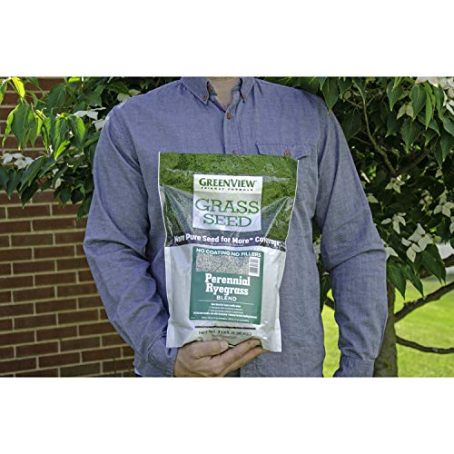 Greenview Fairway Formula Grass Seed Perennial Ryegrass Blend - 3 lb. Bag