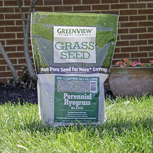 Greenview Fairway Formula Grass Seed Perennial Ryegrass Blend - 3 lb. Bag