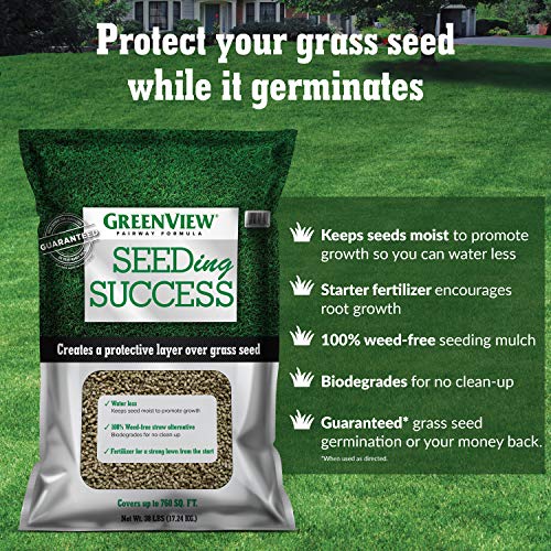 Greenview Fairway Formula Grass Seed Perennial Ryegrass Blend - 3 lb. Bag