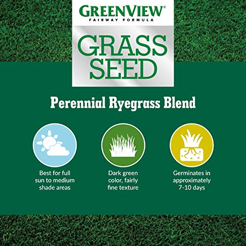 Greenview Fairway Formula Grass Seed Perennial Ryegrass Blend - 3 lb. Bag