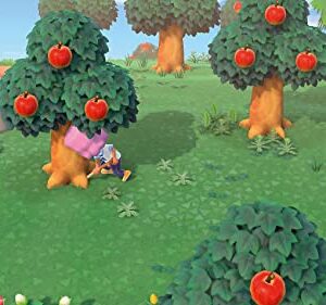 Animal Crossing: New Horizons (German Version)