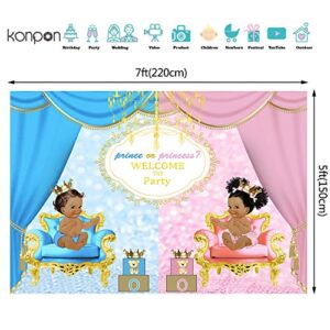 7x5ft Prince or Princess Royal Gender Reveal Party Backdrops for Photography Unisex Baby Shower Pink or Blue Curtain Banner Decoration Photo Background W-2026