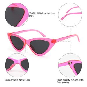 Livhò Retro Vintage Narrow Cat Eye Sunglasses for Women Clout Goggles Plastic Frame (Barbie Powder)