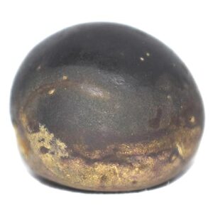 Rare Pitambara Shaligram - Gandaki River Nepal