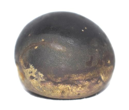 Rare Pitambara Shaligram - Gandaki River Nepal