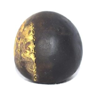 Rare Pitambara Shaligram - Gandaki River Nepal