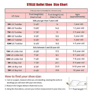 Stelle Girls Ballet Shoes Boys Toddler Soft Leather Dance Slippers for Toddler/Little Kid/Big Kid(Ballet Pink,8MT)