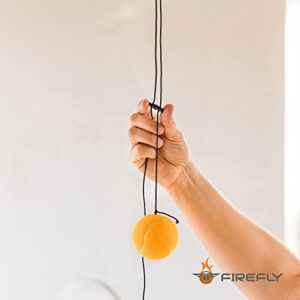 Firefly 2-Pack Garage Parking Guide Tennis Ball Car Stopper on a String Parking Aid Pack of Two