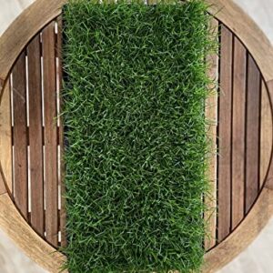 Bermuda Grass Plug Tray | EZ Plug 50 Grass Plugs Per Tray