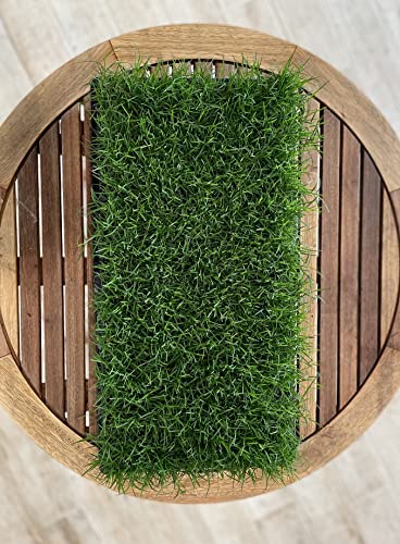 Bermuda Grass Plug Tray | EZ Plug 50 Grass Plugs Per Tray