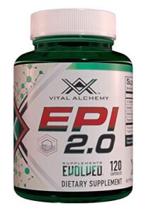 epi 2.0 - hard lean muscle mass gainer and strength booster from vital alchemy|epicatechin with quercetin and piperine for better mass gainer and joint support