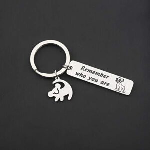 TGBJE Remember Who You Are Bracelet Inspired Bangle Lion King Gift for Friend (lion king keychain)