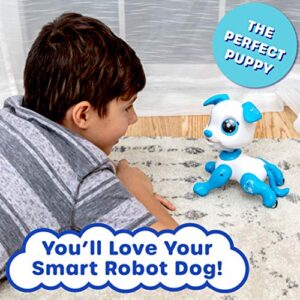 Robo Pets Robot Dog Toy for Girls and Boys - Remote Control Robot Toy Puppy with LEDs, Sound FX, Interactive Hand Motion Gestures, STEM Toy Program Treats, Dancing and Walking RC Robot for Kids (Blue)