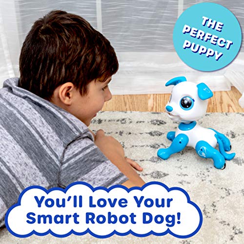 Robo Pets Robot Dog Toy for Girls and Boys - Remote Control Robot Toy Puppy with LEDs, Sound FX, Interactive Hand Motion Gestures, STEM Toy Program Treats, Dancing and Walking RC Robot for Kids (Blue)