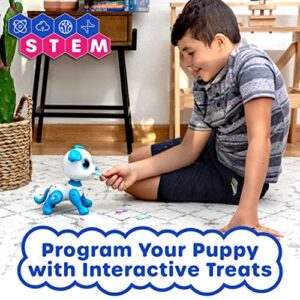 Robo Pets Robot Dog Toy for Girls and Boys - Remote Control Robot Toy Puppy with LEDs, Sound FX, Interactive Hand Motion Gestures, STEM Toy Program Treats, Dancing and Walking RC Robot for Kids (Blue)