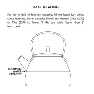 Kate Spade New York 886301 Charlotte Street Gray Metal Kettle, Grey, 2.5 qt (2.4 L)