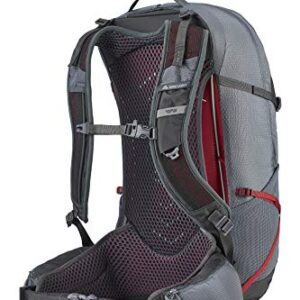 Gregory Mountain Products Men's Citro 30 Hiking Backpack , Smoke Grey