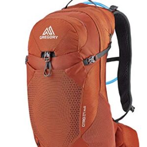 Gregory Mountain Products Men's Citro 24 H2O Hydration Backpack,Spark Orange