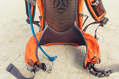 Gregory Mountain Products Men's Citro 24 H2O Hydration Backpack,Spark Orange