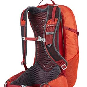 Gregory Mountain Products Men's Citro 24 H2O Hydration Backpack,Spark Orange