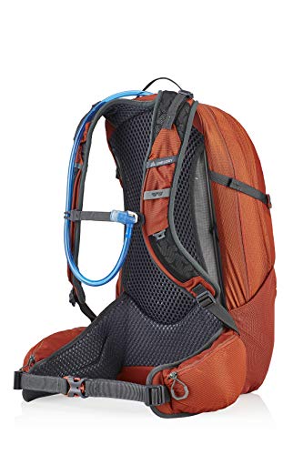 Gregory Mountain Products Men's Citro 24 H2O Hydration Backpack,Spark Orange