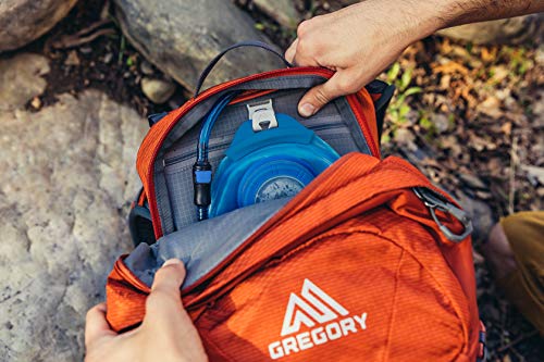 Gregory Mountain Products Men's Citro 30 H2O Hydration Backpack, Spark Orange, one Size