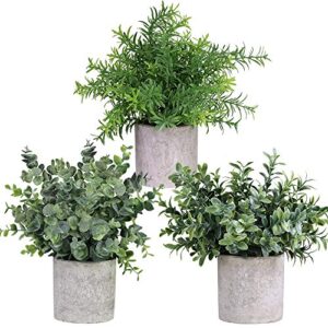 winlyn mini potted plants artificial eucalyptus boxwood rosemary greenery in pots faux potted herbs small houseplants 8.3"-9" tall for indoor greenery tabletop décor centerpiece 3 pack
