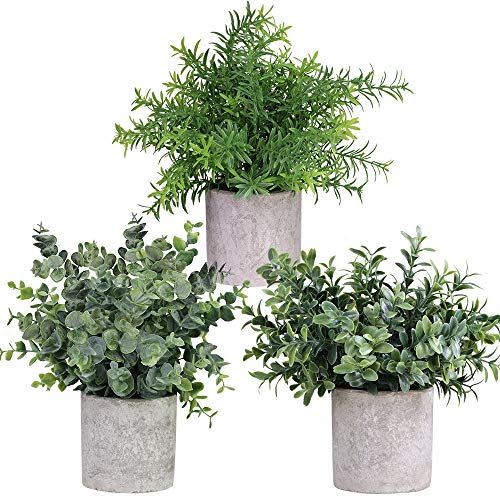 Winlyn Mini Potted Plants Artificial Eucalyptus Boxwood Rosemary Greenery in Pots Faux Potted Herbs Small Houseplants 8.3"-9" Tall for Indoor Greenery Tabletop Décor Centerpiece 3 Pack