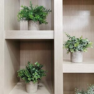Winlyn Mini Potted Plants Artificial Eucalyptus Boxwood Rosemary Greenery in Pots Faux Potted Herbs Small Houseplants 8.3"-9" Tall for Indoor Greenery Tabletop Décor Centerpiece 3 Pack