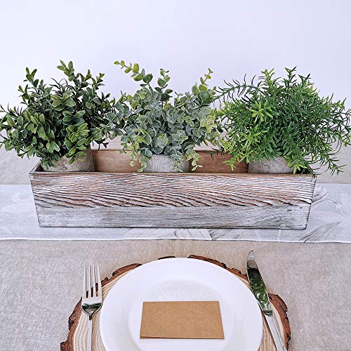 Winlyn Mini Potted Plants Artificial Eucalyptus Boxwood Rosemary Greenery in Pots Faux Potted Herbs Small Houseplants 8.3"-9" Tall for Indoor Greenery Tabletop Décor Centerpiece 3 Pack