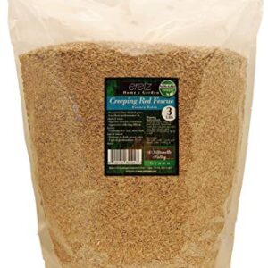 Creeping Red Fescue Seed by Eretz (3lb) - CHOOSE SIZE! Willamette Valley Oregon Grown, No Fillers, No Weed or Other Crop Seeds, Premium Shade Grass Seed.