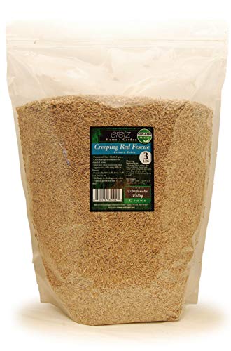 Creeping Red Fescue Seed by Eretz (3lb) - CHOOSE SIZE! Willamette Valley Oregon Grown, No Fillers, No Weed or Other Crop Seeds, Premium Shade Grass Seed.