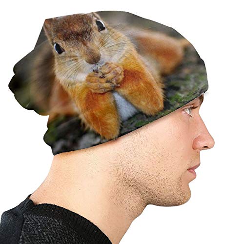 Funny Squirrel Slouchy Knit Cuffed Beanie Hat for Men Women Winter Ski Skull Cap Black