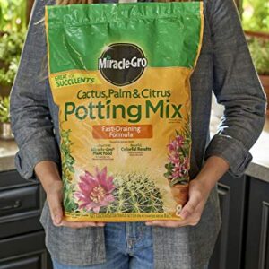 Miracle-Gro Cactus, Palm & Citrus Potting Mix, 8 qt.