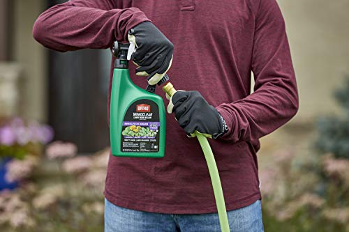 Ortho WeedClear Lawn Weed Killer Ready to Spray3 - Dandelion & Clover Killer, Also Kills Chickweed, Dollarweed & More, Weed Control for Lawns, Use on Southern Grasses, Kills to the Root, 32 oz.