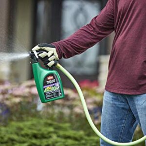 Ortho WeedClear Lawn Weed Killer Ready to Spray3 - Dandelion & Clover Killer, Also Kills Chickweed, Dollarweed & More, Weed Control for Lawns, Use on Southern Grasses, Kills to the Root, 32 oz.