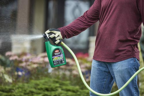 Ortho WeedClear Lawn Weed Killer Ready to Spray3 - Dandelion & Clover Killer, Also Kills Chickweed, Dollarweed & More, Weed Control for Lawns, Use on Southern Grasses, Kills to the Root, 32 oz.