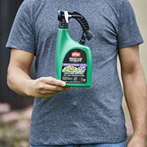 Ortho WeedClear Lawn Weed Killer Ready to Spray3 - Dandelion & Clover Killer, Also Kills Chickweed, Dollarweed & More, Weed Control for Lawns, Use on Southern Grasses, Kills to the Root, 32 oz.