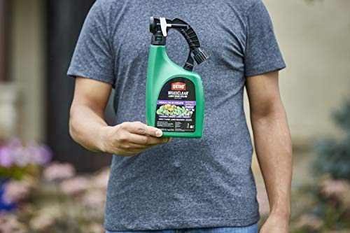 Ortho WeedClear Lawn Weed Killer Ready to Spray3 - Dandelion & Clover Killer, Also Kills Chickweed, Dollarweed & More, Weed Control for Lawns, Use on Southern Grasses, Kills to the Root, 32 oz.