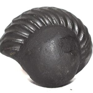 Dhumavati Shaligram/Adwaitya Golden Dhumavati Dasha MahaVidya Shaligram, Fossil, Fossil