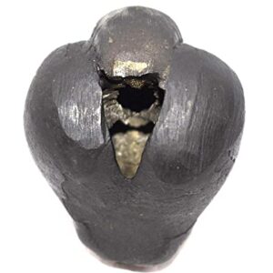 Dhumavati Shaligram/Adwaitya Golden Dhumavati Dasha MahaVidya Shaligram, Fossil, Fossil