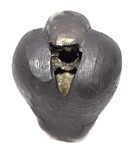 Dhumavati Shaligram/Adwaitya Golden Dhumavati Dasha MahaVidya Shaligram, Fossil, Fossil