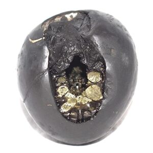 Adwaitya Golden ChinnaMasta Dasha MahaVidya Shaligram, Fossil, Fossil