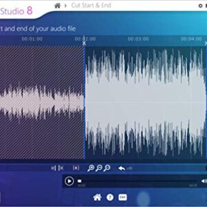 Audio Recorder and Editor - professional sound studio for recording, editing and playing all common audio files: WAV, AIFF, FLAC, MP2, MP3, OGG for Windows 11, 10, 8.1, 7