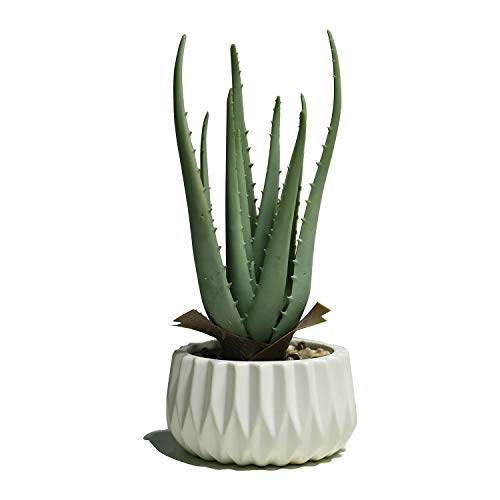 Suntimber Artificial Fake Plant Decor,Aloe Faux Plants in Elegant Ceramic Pot for Bathroom Shelf Decor, Desk Plant for Home & Office Decor - Artificial Fake Succulent Potted