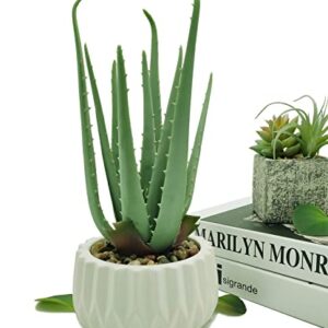 Suntimber Artificial Fake Plant Decor,Aloe Faux Plants in Elegant Ceramic Pot for Bathroom Shelf Decor, Desk Plant for Home & Office Decor - Artificial Fake Succulent Potted