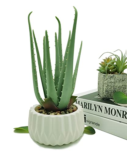 Suntimber Artificial Fake Plant Decor,Aloe Faux Plants in Elegant Ceramic Pot for Bathroom Shelf Decor, Desk Plant for Home & Office Decor - Artificial Fake Succulent Potted