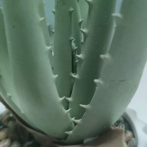 Suntimber Artificial Fake Plant Decor,Aloe Faux Plants in Elegant Ceramic Pot for Bathroom Shelf Decor, Desk Plant for Home & Office Decor - Artificial Fake Succulent Potted