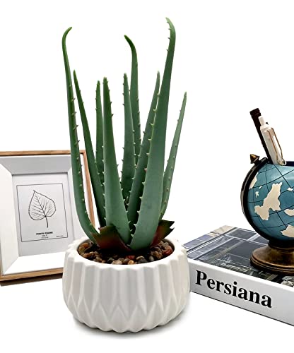 Suntimber Artificial Fake Plant Decor,Aloe Faux Plants in Elegant Ceramic Pot for Bathroom Shelf Decor, Desk Plant for Home & Office Decor - Artificial Fake Succulent Potted