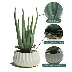 Suntimber Artificial Fake Plant Decor,Aloe Faux Plants in Elegant Ceramic Pot for Bathroom Shelf Decor, Desk Plant for Home & Office Decor - Artificial Fake Succulent Potted